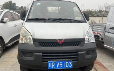 r1013323-wuling-rongguang-light-truck-2017_0