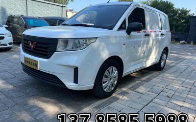 r1013539-wuling-hongguang-plus-2020_0