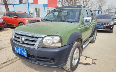 r1013608-dongfeng-oting-2009_0