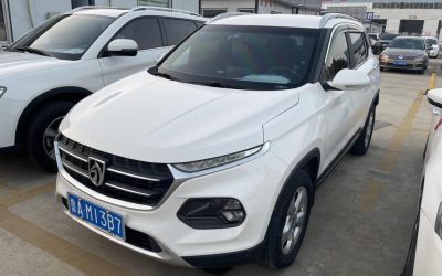 r1013618-baojun-510-2019_0