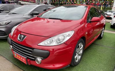 r1013696-peugeot-307-2008_0
