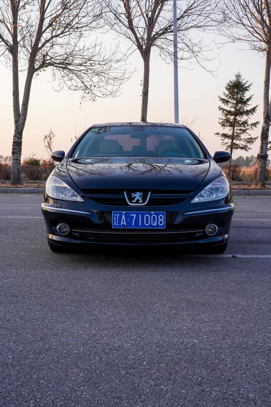 r1013779-peugeot-607-2007_0