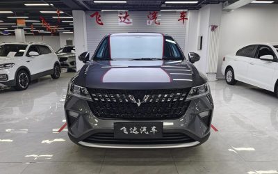 r1013876-wuling-xingchi-2023_0