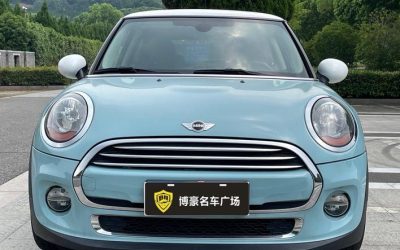 r1013881-mini-2017_0