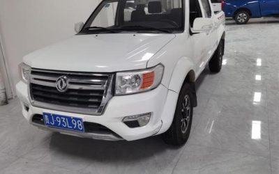 r1013992-dongfeng-ruiqi-2018_0