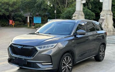 r1014100-changan-oshan-x7-2020_0
