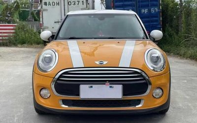 r1014192-mini-2016_0