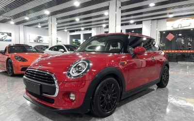 r1014194-mini-2019_0