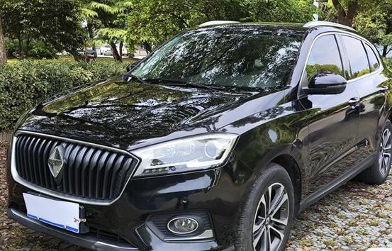 r1014313-borgward-bx7-2019_0