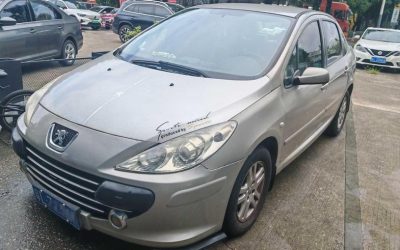 r1014516-peugeot-307-2008_0
