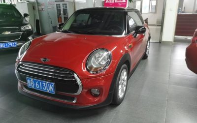 r1014537-mini-2015_0