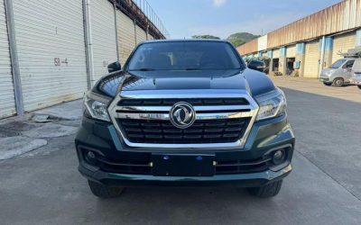 r1014564-dongfeng-ruiqi-6-2021_0