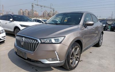 r1014812-borgward-bx6-2019_0