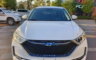 r1014855-changan-oshan-x7-2020_0
