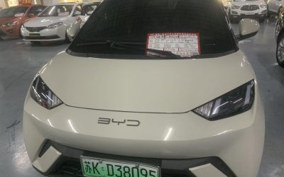 r1014856-byd-seagull-2023_0