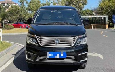 r1014870-dongfeng-forthing-lingzhi-2021_0