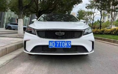 r1014962-geely-binrui-2020_0