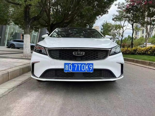 r1014962-geely-binrui-2020_0