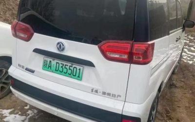 r1014978-dongfeng-succe-2018_0