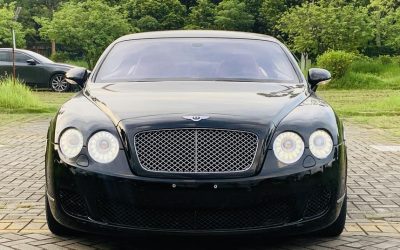 r1014999-bentley-continental-2010_0