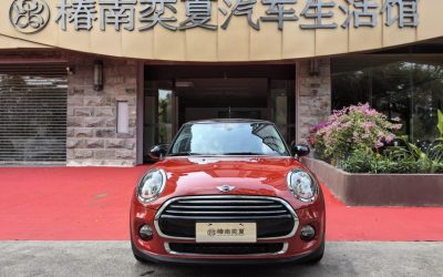 r1015003-mini-2018_0
