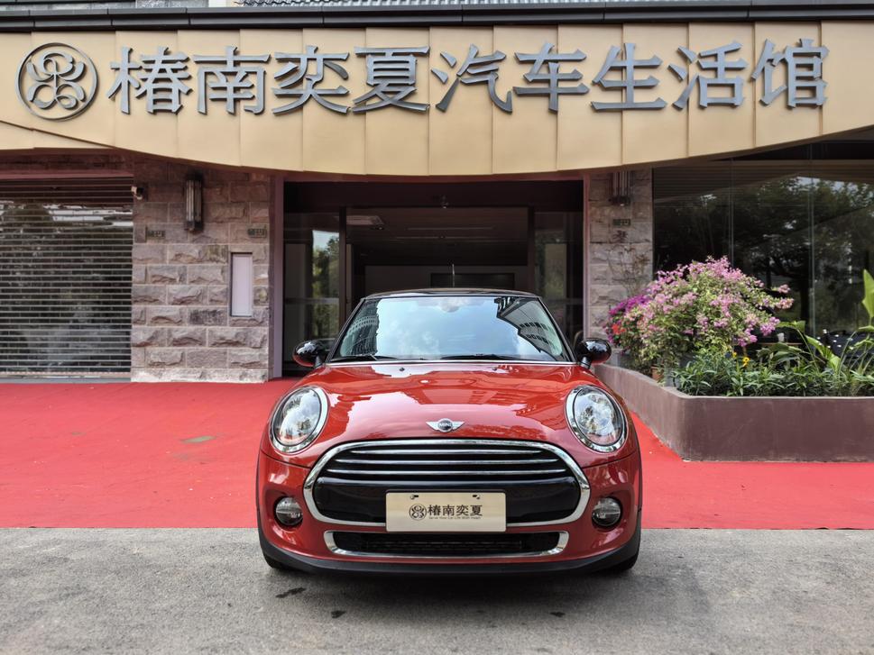 r1015003-mini-2018_0