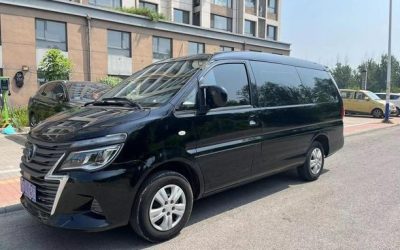 r1015022-dongfeng-forthing-lingzhi-2021_0