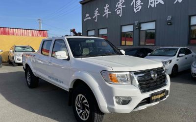 r1015039-dongfeng-ruiqi-2020_0