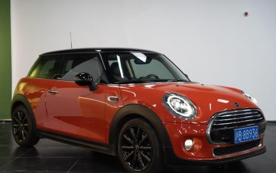 r1015189-mini-2018_0