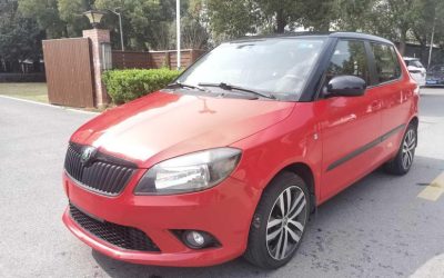 r1015275-skoda-fabia-2013_0