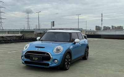 r1015370-mini-2015_0