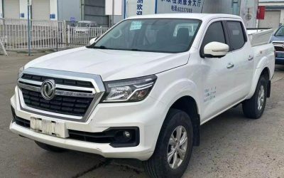 r1015446-dongfeng-ruiqi-6-2020_0