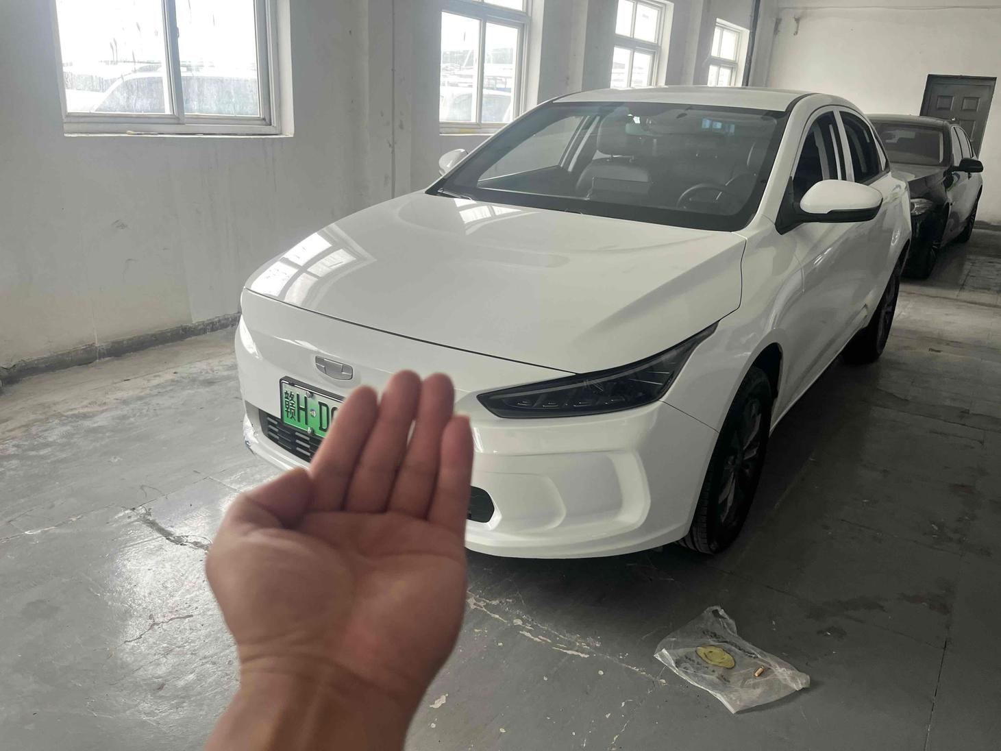 r1015517-geely-geometry-a-2024_0