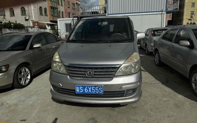 r1015523-dongfeng-yumsun-2010_0
