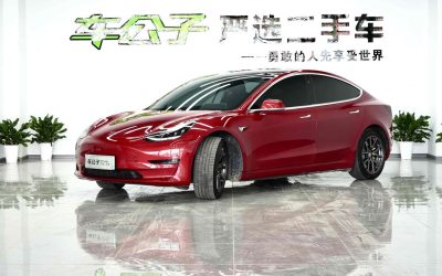 r1015596-tesla-model-3-2021_0