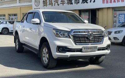 r1015611-dongfeng-ruiqi-6-2022_0