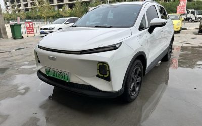 r1015626-geely-geometry-e-firefly-2023_0