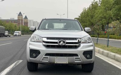 r1015726-great-wall-wingle-5-2022_0