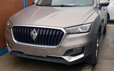 r1015750-borgward-bx5-2019_0