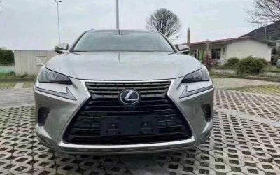 r1015941-lexus-nx-2019_0