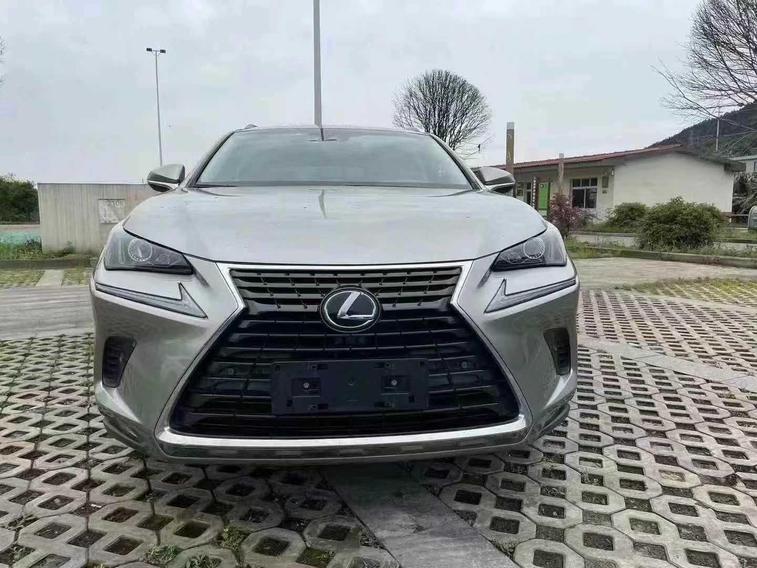 r1015941-lexus-nx-2019_0