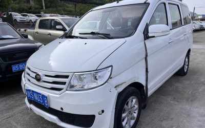 r1016034-lifan-letu-2018_0