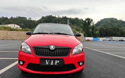 r1016037-skoda-fabia-2014_0