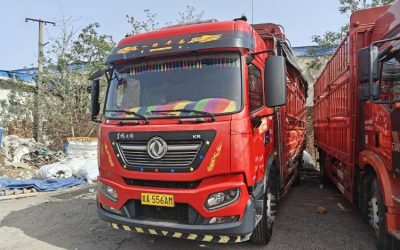r205143-dongfeng-tianjin-kr-2020_1
