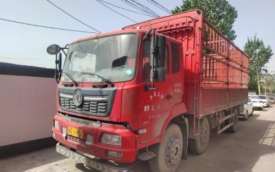 r205252-dongfeng-tianjin-vr-2022_1
