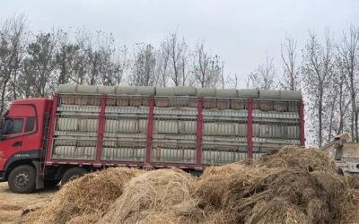 r205481-dongfeng-tianlong-kl-2024_1