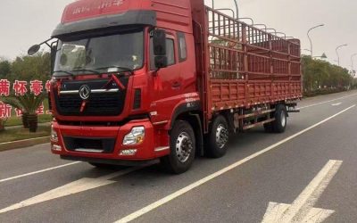 r205564-dongfeng-tianlong-vl-2019_1