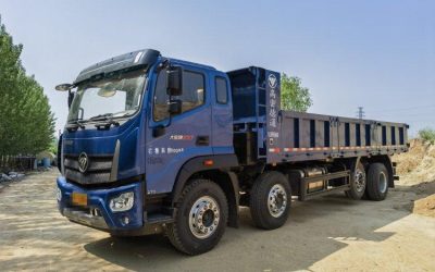 r206368-ruivo-big-king-kong-es7-2023_1