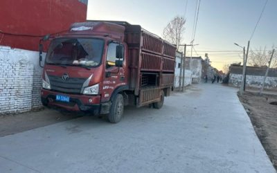 r206383-ruivo-es3-2019_1