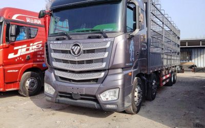r207801-foton-auman-est-2023_1